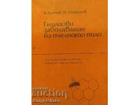 Μυκητιακές ασθένειες γόνου μελισσών - Kancho Kanchev