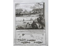 1793 - GRAVURA - PESCUIT - PARIS - ORIGINAL