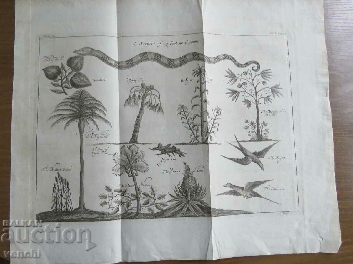 1746 - ENGRAVING - LONDON - ORIGINAL with price 49.99 BGN | € 25.56 1746 - ENGRAVING - LONDON - ORIGINAL with price 49.99 BGN | € 25.56