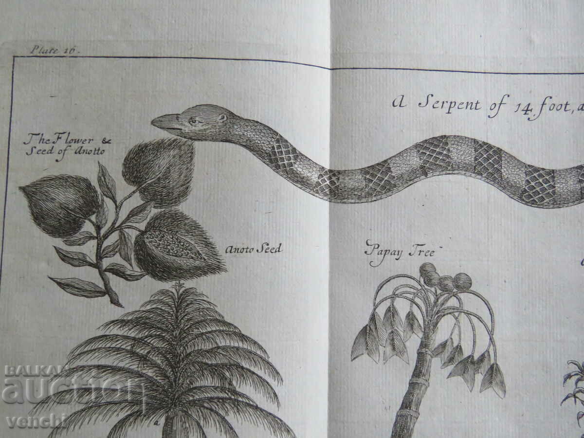 Δημοπρασία 1746 - ΧΑΡΑΚΤΙΚΟ - ΛΟΝΔΙΝΟ - ΠΡΩΤΟΤΥΠΟ