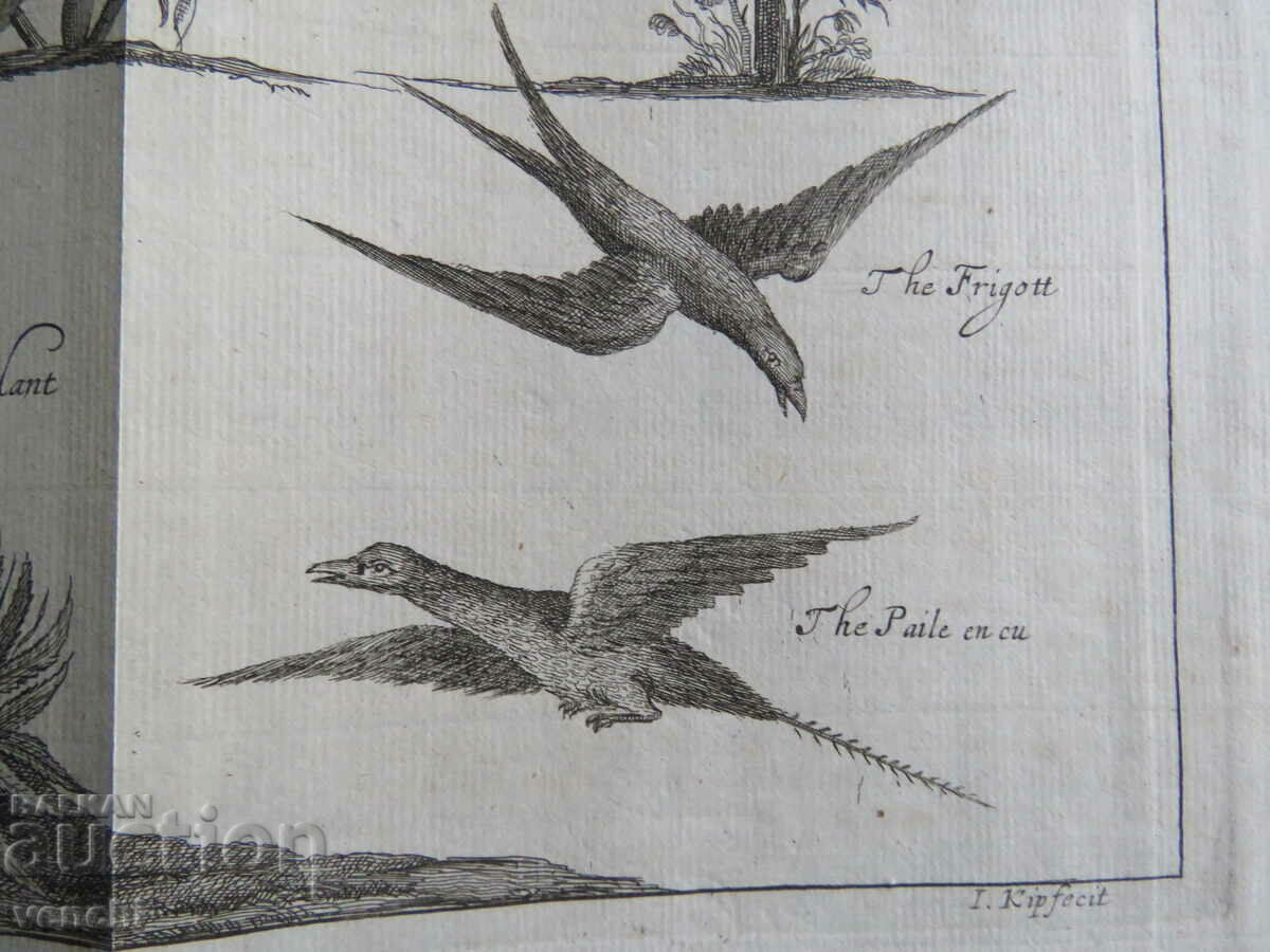 Delivery of 1746 - ENGRAVING - LONDON - ORIGINAL Delivery of 1746 - ENGRAVING - LONDON - ORIGINAL