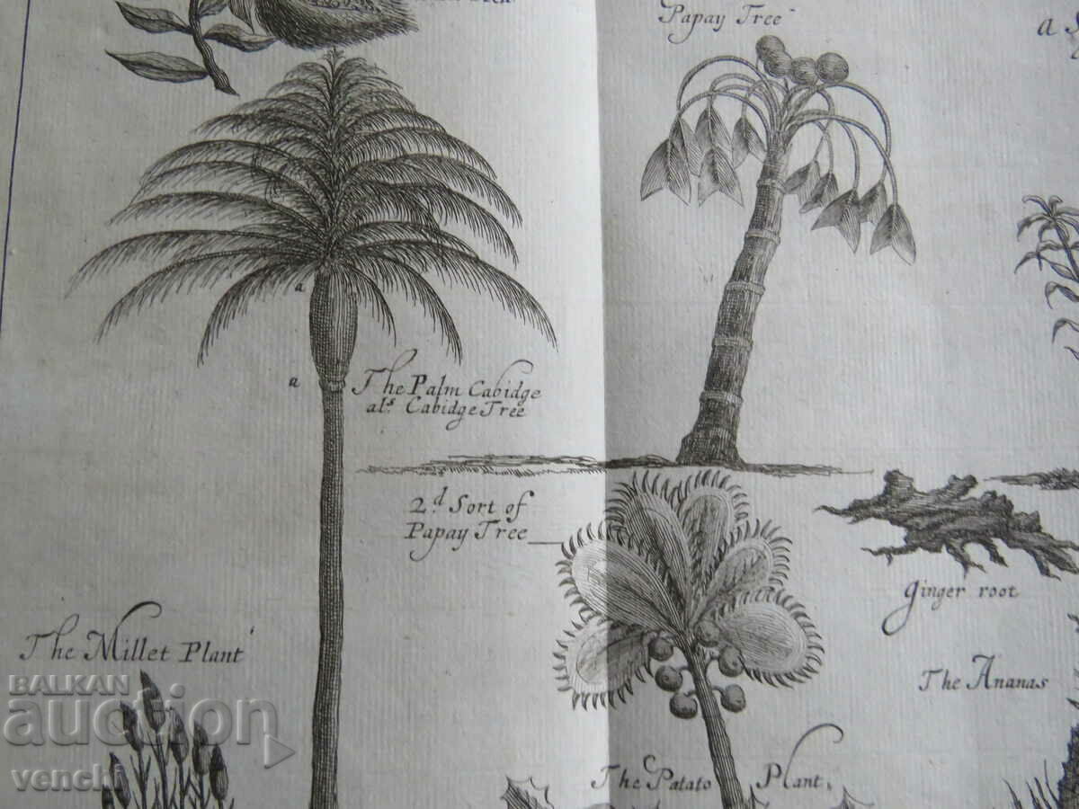 1746 - ENGRAVING - LONDON - ORIGINAL - 5 1746 - ENGRAVING - LONDON - ORIGINAL - 5