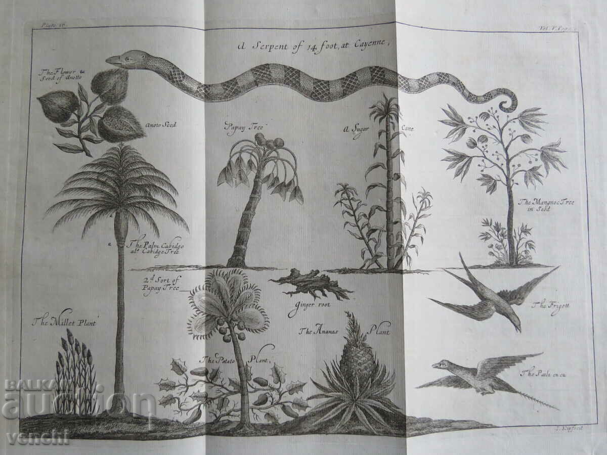 1746 - ΧΑΡΑΚΤΙΚΟ - ΛΟΝΔΙΝΟ - ΠΡΩΤΟΤΥΠΟ