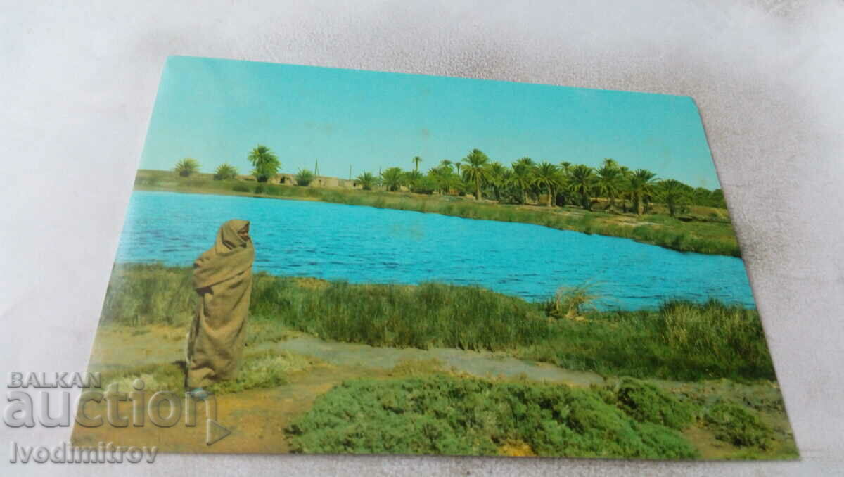 Tauorga View of the Lake 1974 postcard