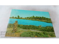Καρτ ποστάλ Tauorga View of the Lake 1974
