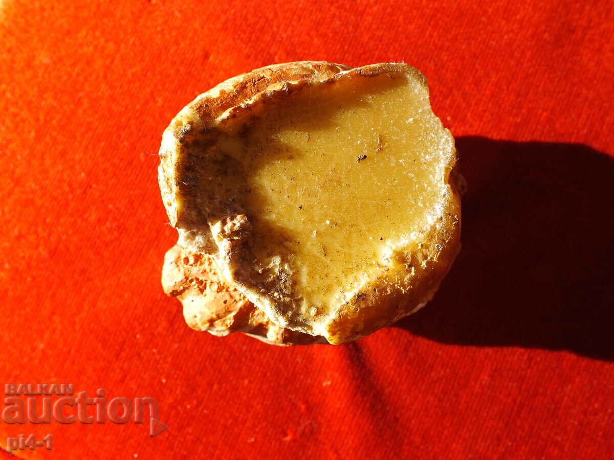 Old bust with price 150.00 BGN | € 76.69 Old bust with price 150.00 BGN | € 76.69