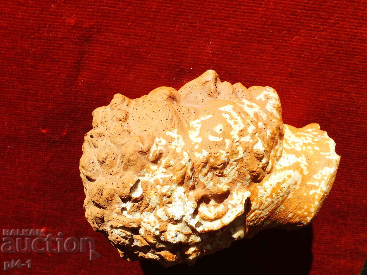 Delivery of Old bust Delivery of Old bust