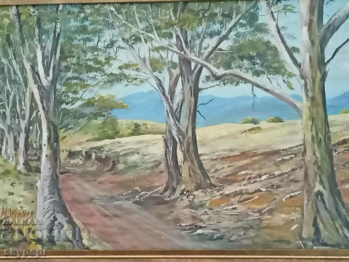 ΤΟΠΙΟ με τιμή 340.00 BGN | € 173.84