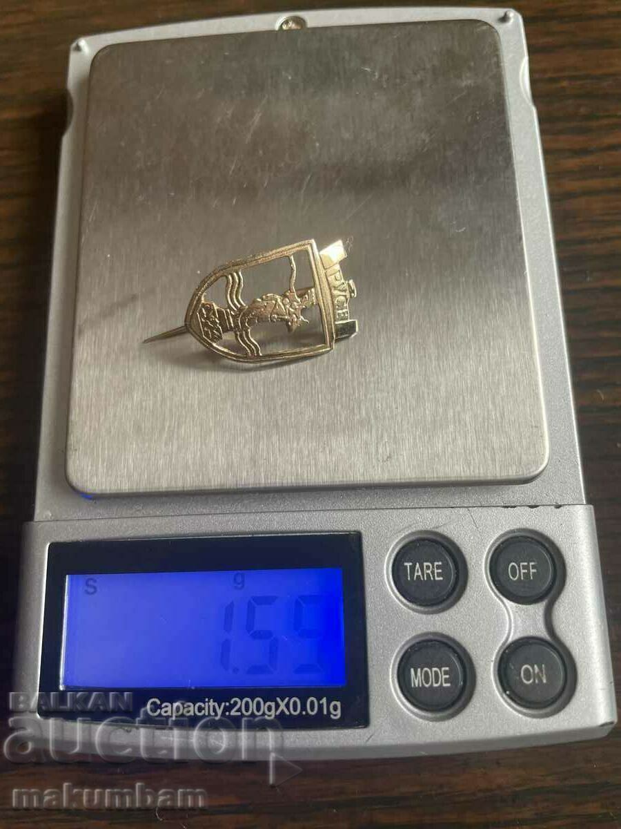 Golden badge city of Ruse - 7 Golden badge city of Ruse - 7