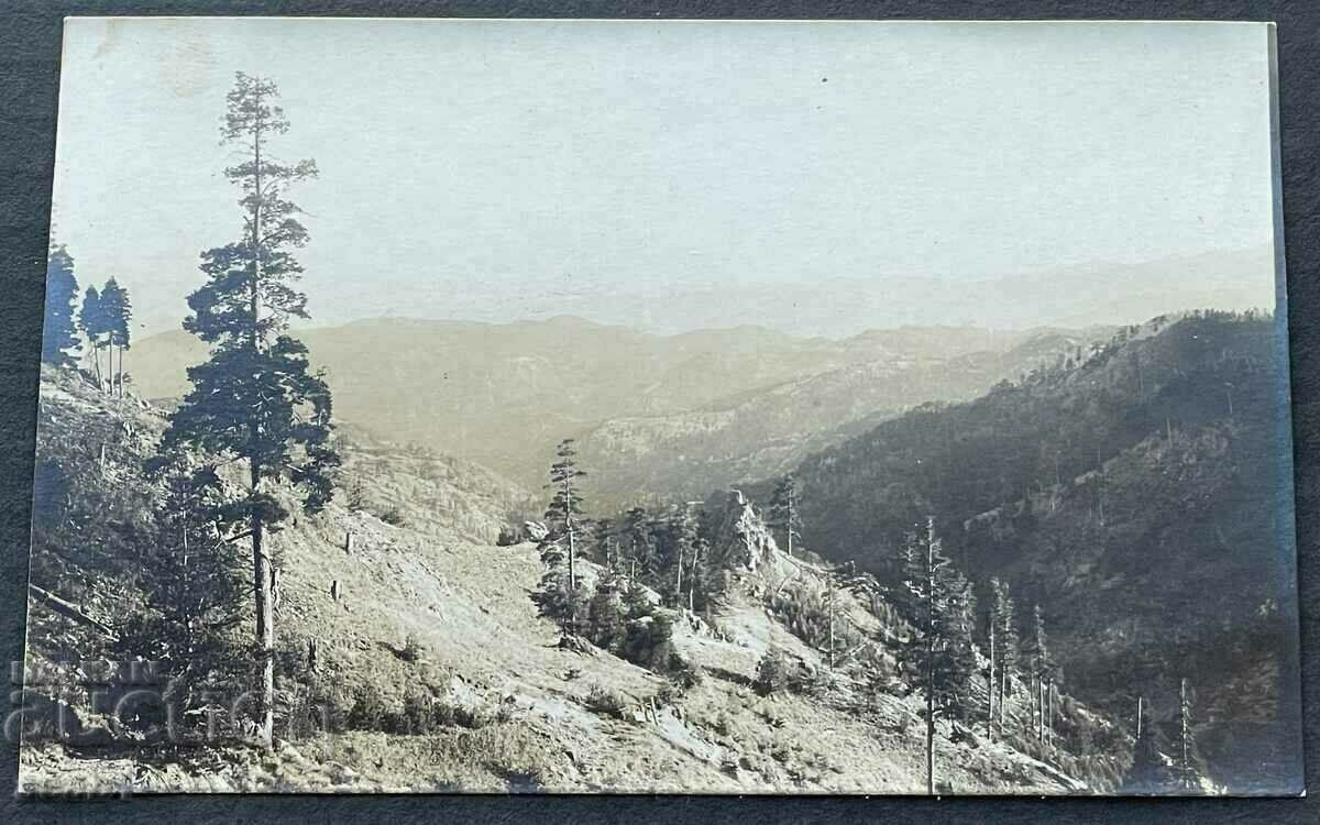 Central Rhodopes with price 14.99 BGN | € 7.66 Central Rhodopes with price 14.99 BGN | € 7.66