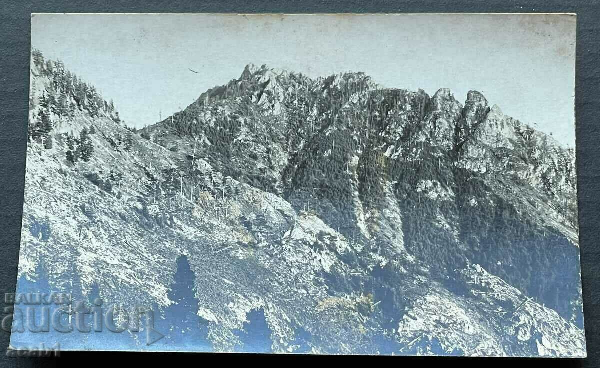 Auction Central Rhodopes Auction Central Rhodopes