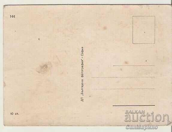 Map Bulgaria Black Sea Surfing 2 * with price 0.70 BGN | € 0.36