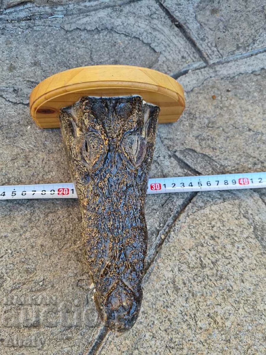 Auction  Crocodile, head. Trophy.