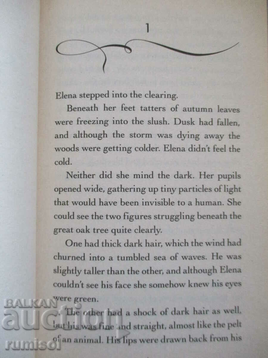 Auction The Vampire Diaries - vol. 3: The Fury - L.J. Smith Auction The Vampire Diaries - vol. 3: The Fury - L.J. Smith