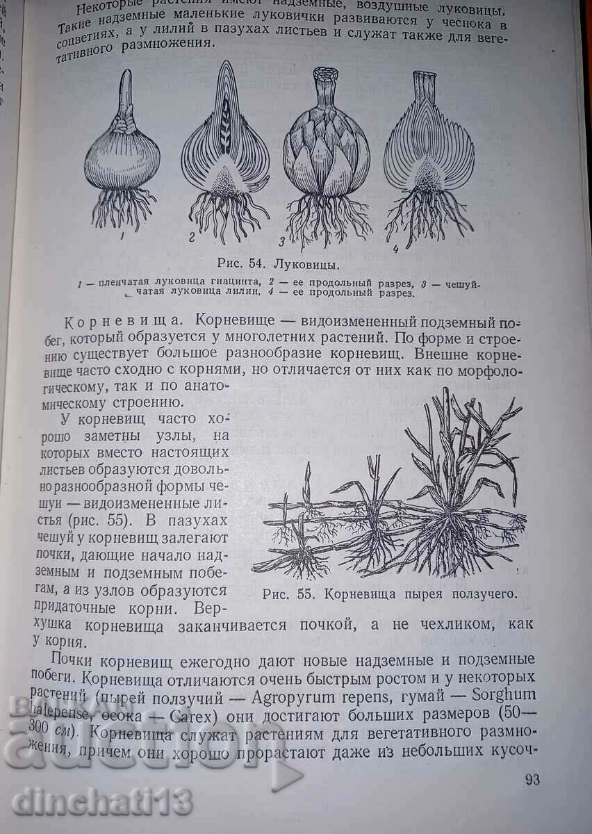 Botany: V. V. Suvorov - 5 Botany: V. V. Suvorov - 5