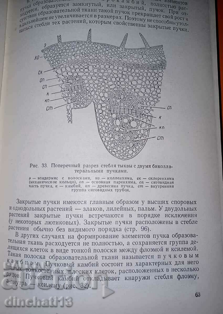 Botany: V. V. Suvorov - 6 Botany: V. V. Suvorov - 6