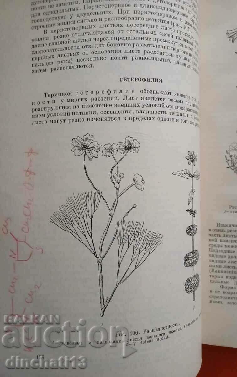 Auction  Botany course: A. R. Zebrak