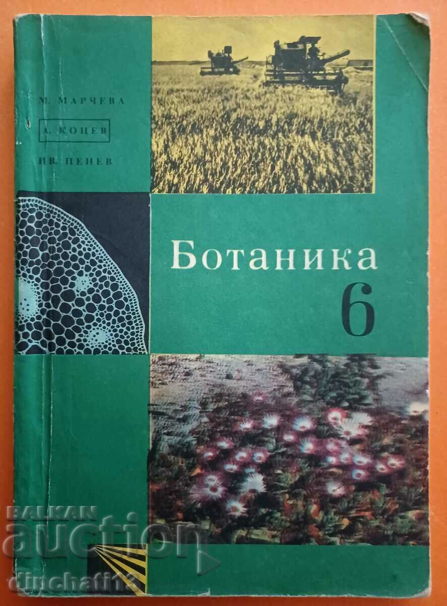 Botanica pentru clasa a VI-a: Milka Marcheva, Andrey Kotsev, Ivan Penev