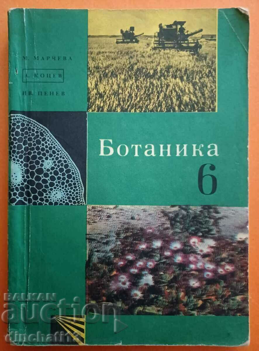 Botany for 6th grade: Milka Marcheva, Andrey Kotsev, Ivan Penev