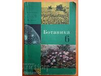 Ботаника за 6. клас: Милка Марчева, Андрей Коцев, Иван Пенев
