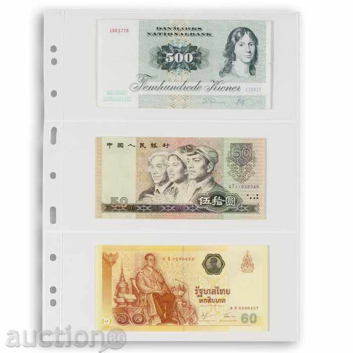 Fișe de bancnote pentru albume de la sistemul Grande C3 transparent