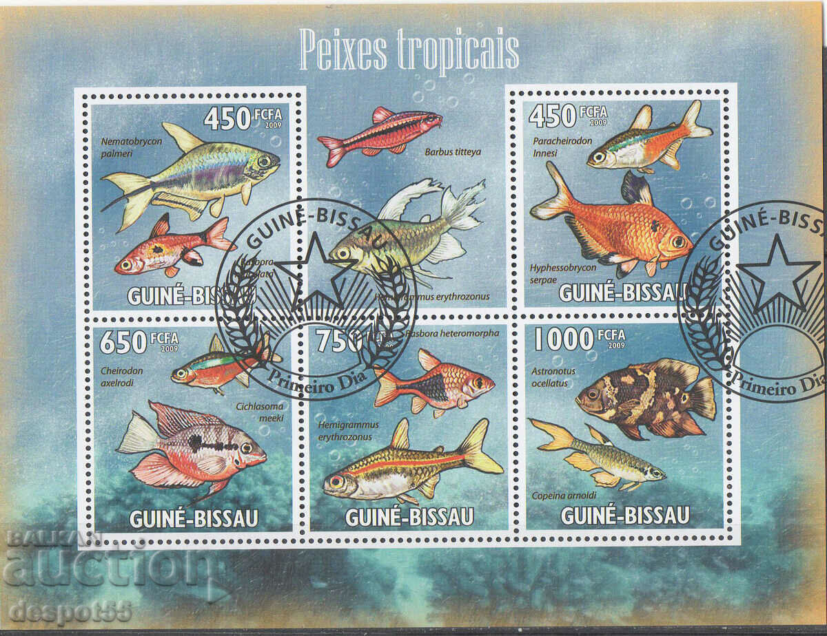 2009. Guineea Bissau. Fauna - pește tropical.