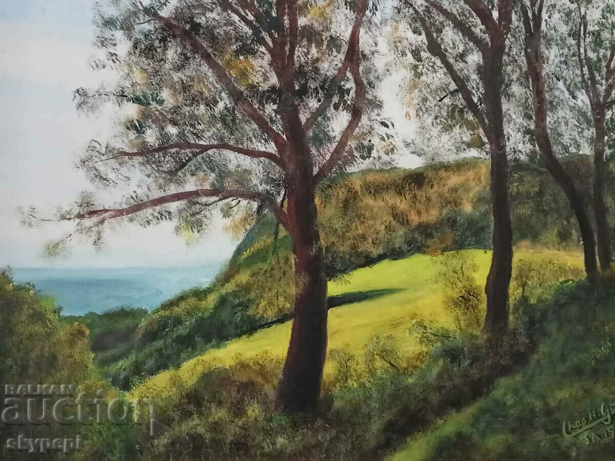 PEISAJ cu preț 115.00 BGN | € 58.80 PEISAJ cu preț 115.00 BGN | € 58.80