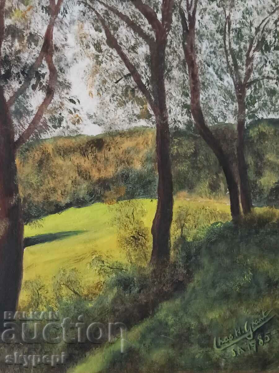 Licitație PEISAJ Licitație PEISAJ