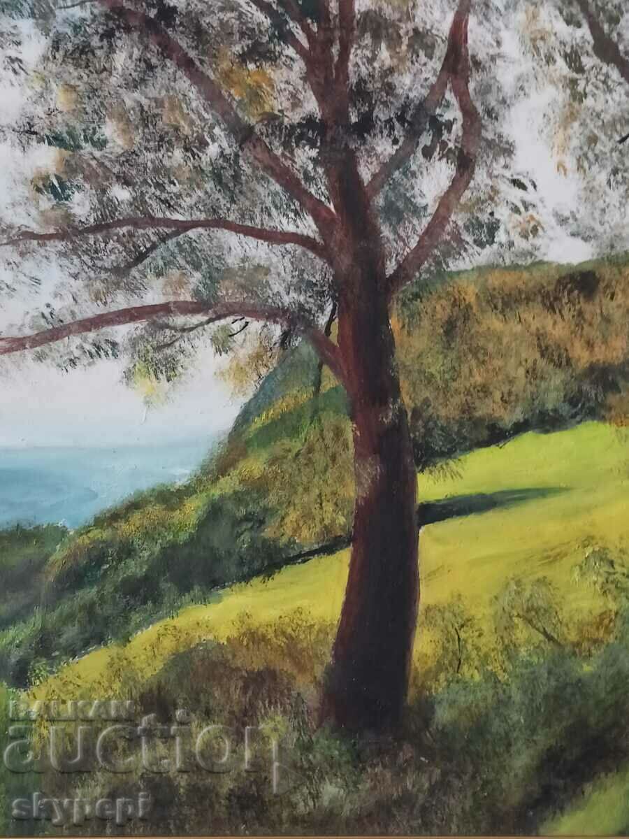 PEISAJ - 5 PEISAJ - 5