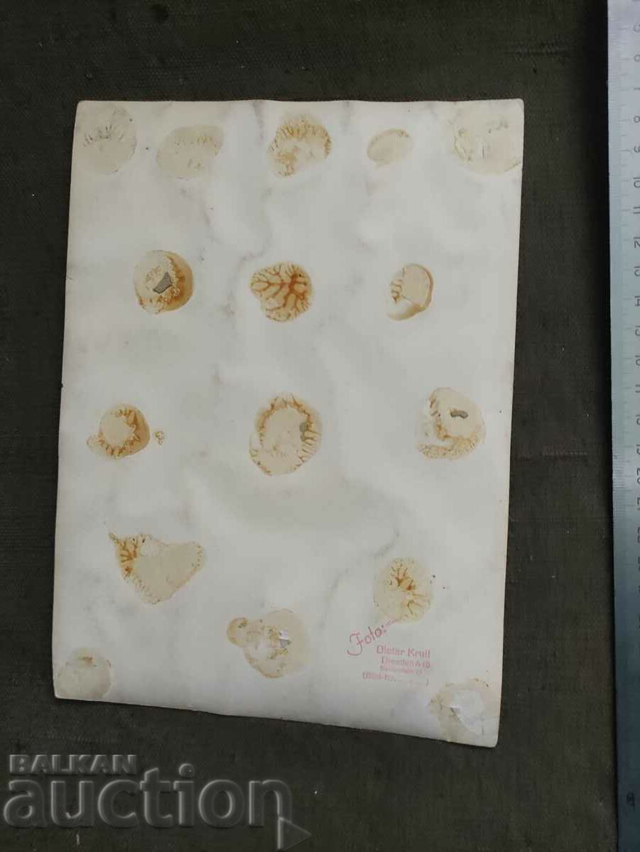 Livrarea Familia de artiști de circ / circ Boychanovi 1960