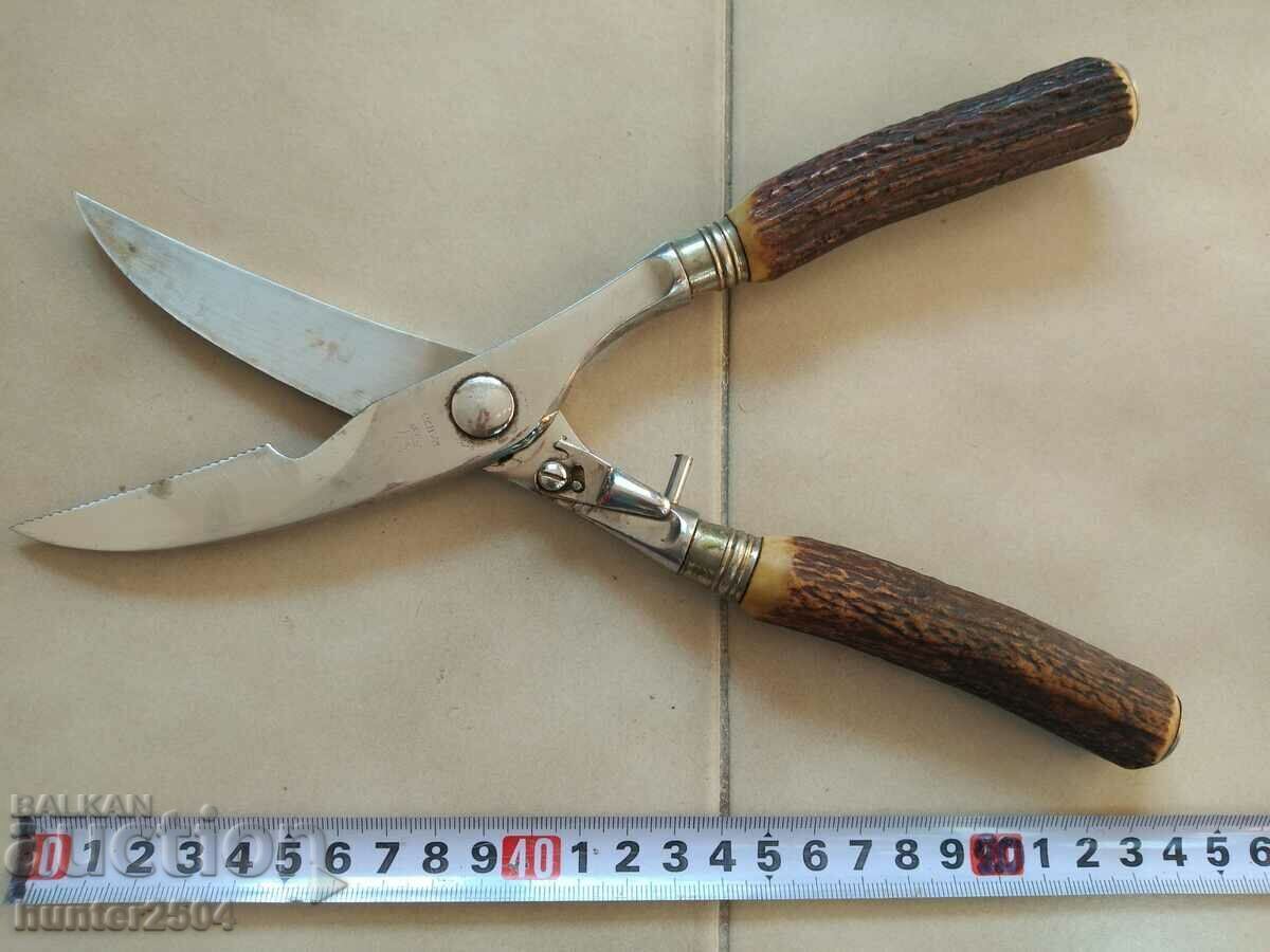 Chicken Scissors and Dr.