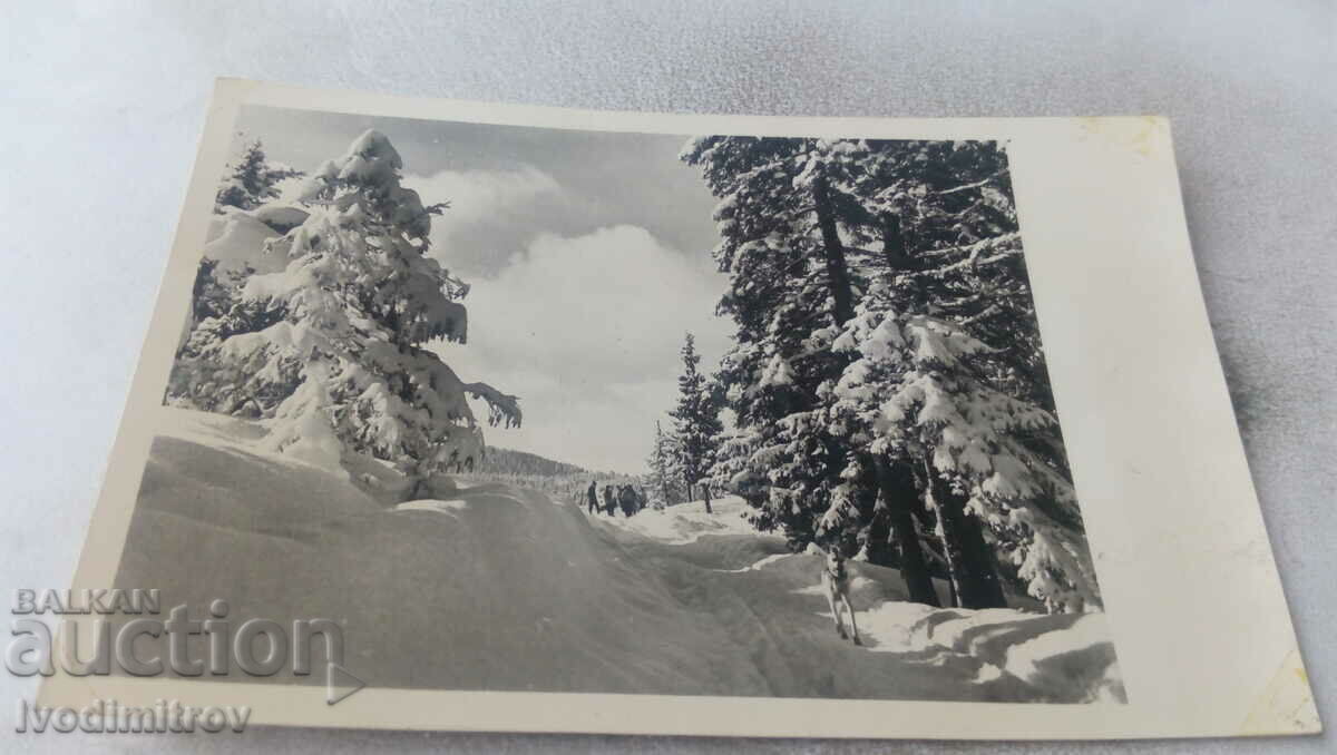 Postcard Winter landscape in the mountains 1962