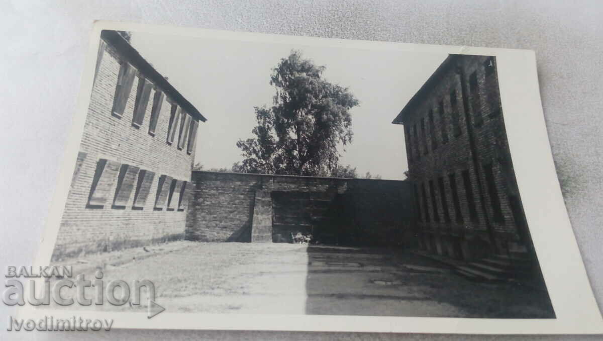 Postcard Auschwitz Shooting Wall