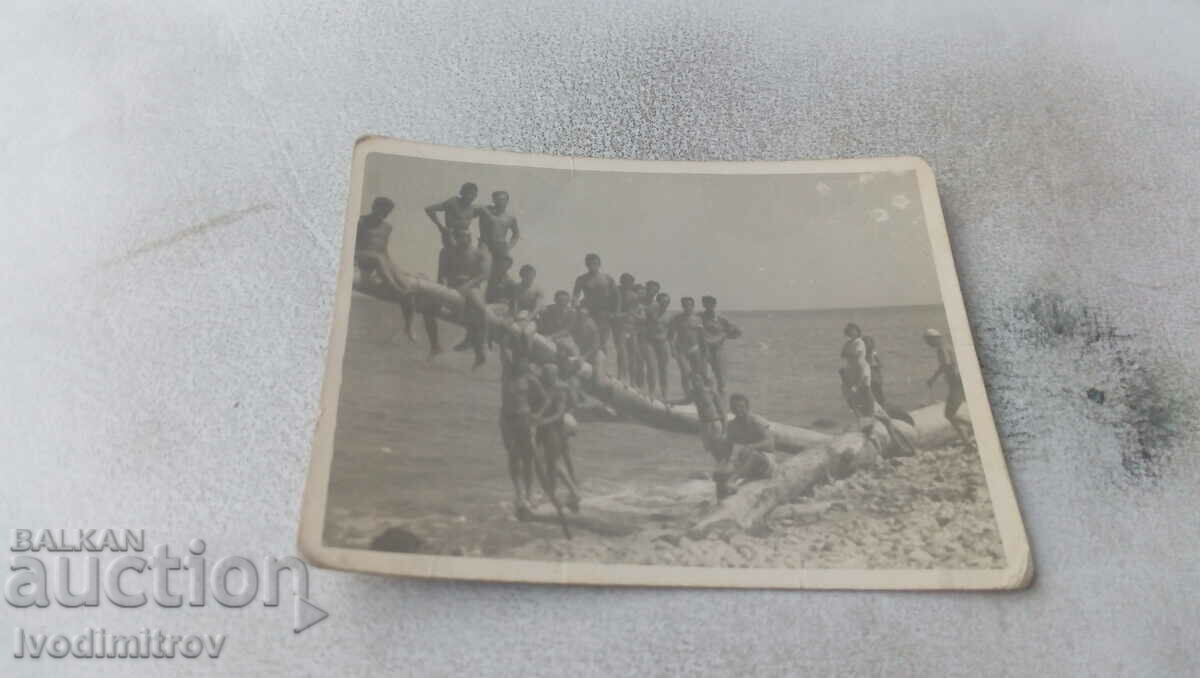 Снимка Младежи на дърво на брега на морето