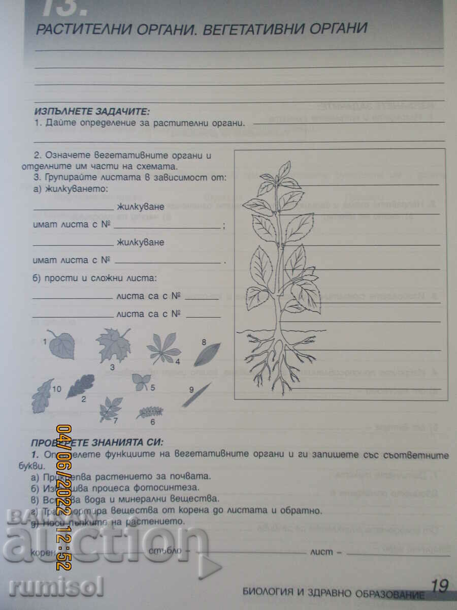 Auction Biology and health education notebook - 7th grade, Prosveta Auction Biology and health education notebook - 7th grade, Prosveta