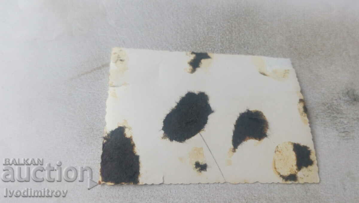 Φωτογραφία Δύο νεαρά κορίτσια στην παραλία με τιμή 1.45 BGN | € 0.74 Φωτογραφία Δύο νεαρά κορίτσια στην παραλία με τιμή 1.45 BGN | € 0.74