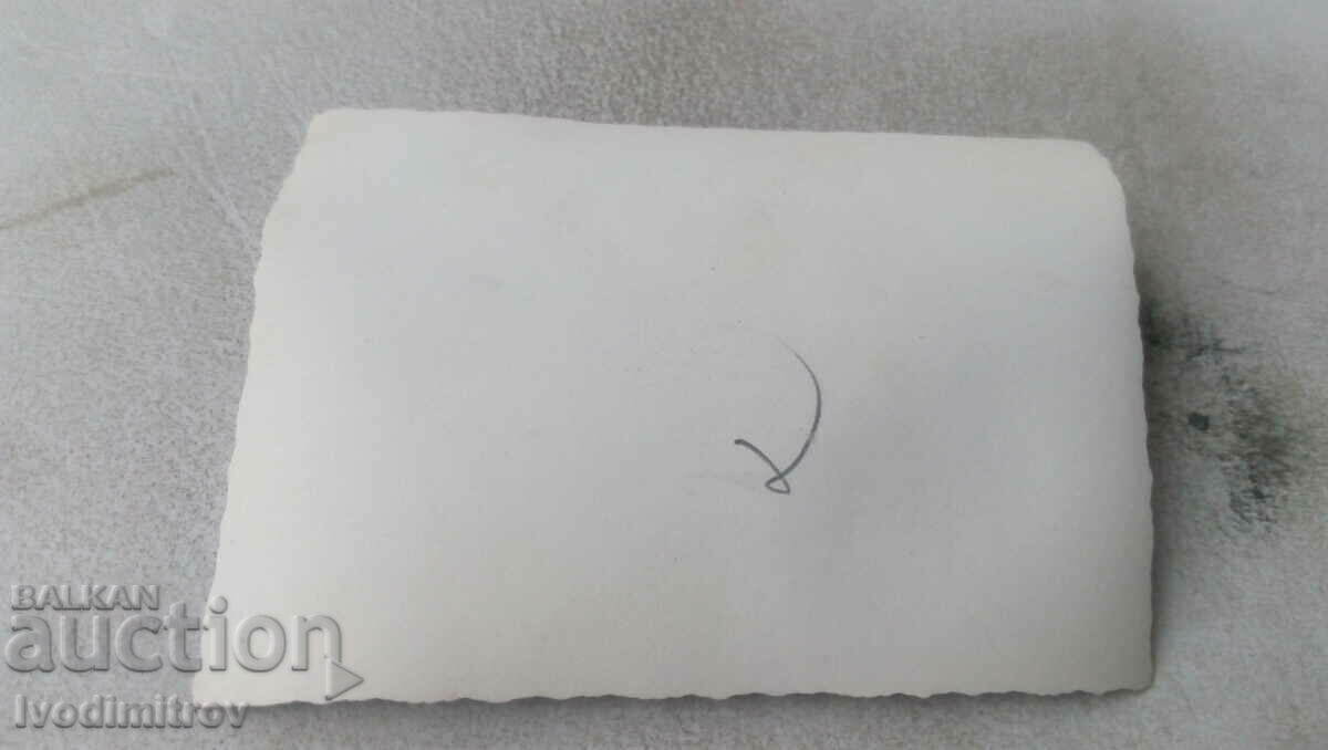 Picture A man, three women and a boy on a log on the beach with price 1.65 BGN | € 0.84