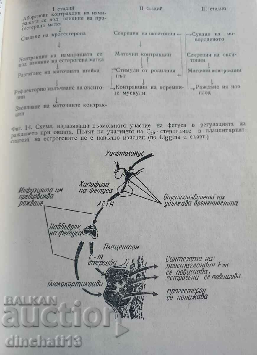 Νέα στη φυσιολογία των ζώων εκτροφής - 5