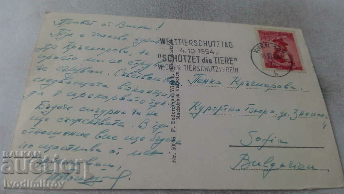 Postcard Wien Bliok vom Rathaus. Votive Church 1954 with price 1.85 BGN | € 0.95 Postcard Wien Bliok vom Rathaus. Votive Church 1954 with price 1.85 BGN | € 0.95