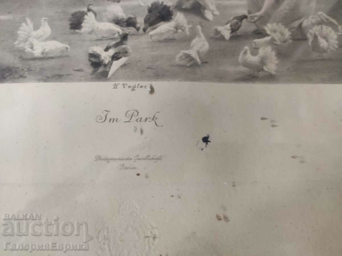 Old western graphics - 5