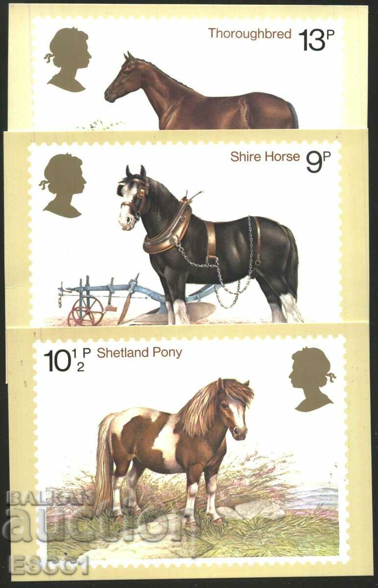Пощенски картички Марки Коне 1978 от Великобритания