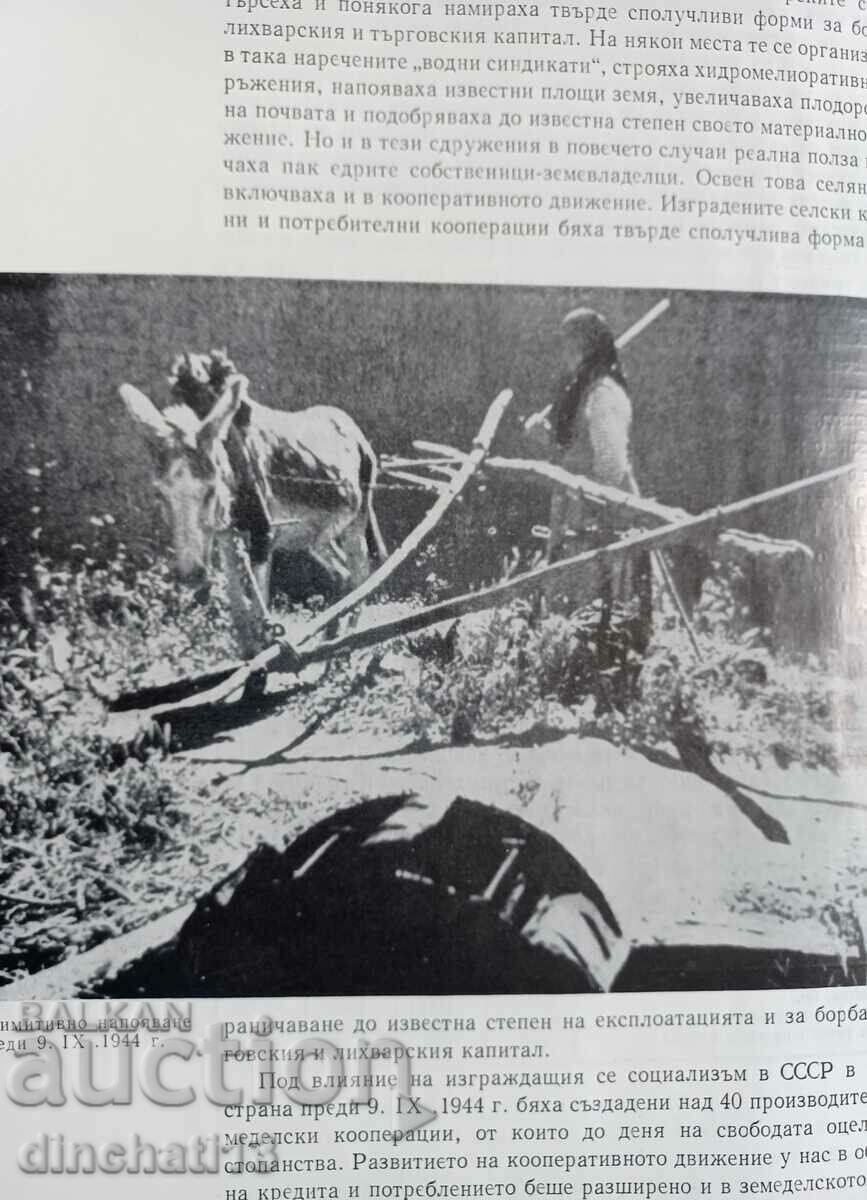 Auction Rise of agriculture in Bulgaria: Nikola Palagachev Auction Rise of agriculture in Bulgaria: Nikola Palagachev