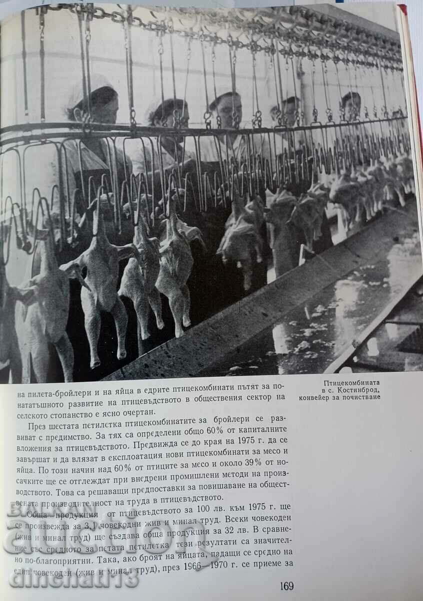 Delivery of Rise of agriculture in Bulgaria: Nikola Palagachev Delivery of Rise of agriculture in Bulgaria: Nikola Palagachev