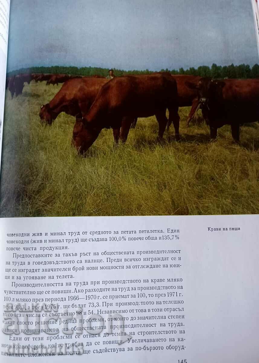 Rise of agriculture in Bulgaria: Nikola Palagachev - 5 Rise of agriculture in Bulgaria: Nikola Palagachev - 5