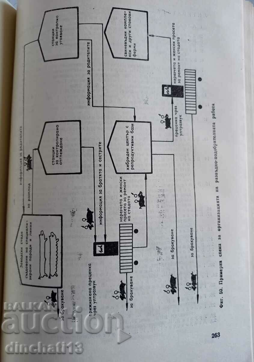 Current issues of genetics in animal breeding - 5 Current issues of genetics in animal breeding - 5