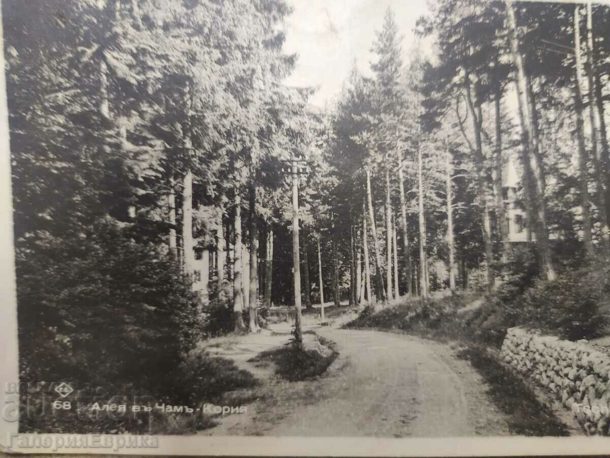 Old photo card with price 4.00 BGN | € 2.05 Old photo card with price 4.00 BGN | € 2.05