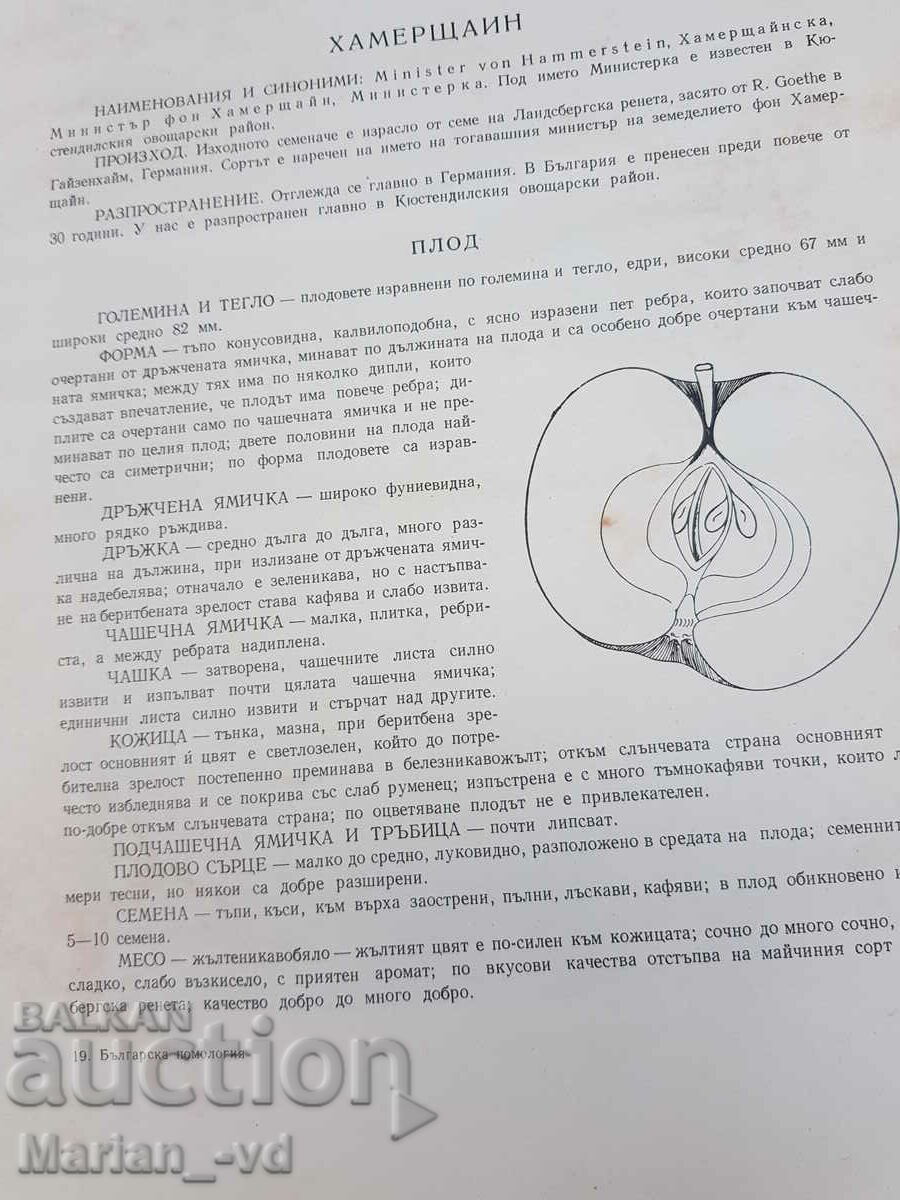 Delivery of Bulgarian aid in two volumes. Tom 1-2