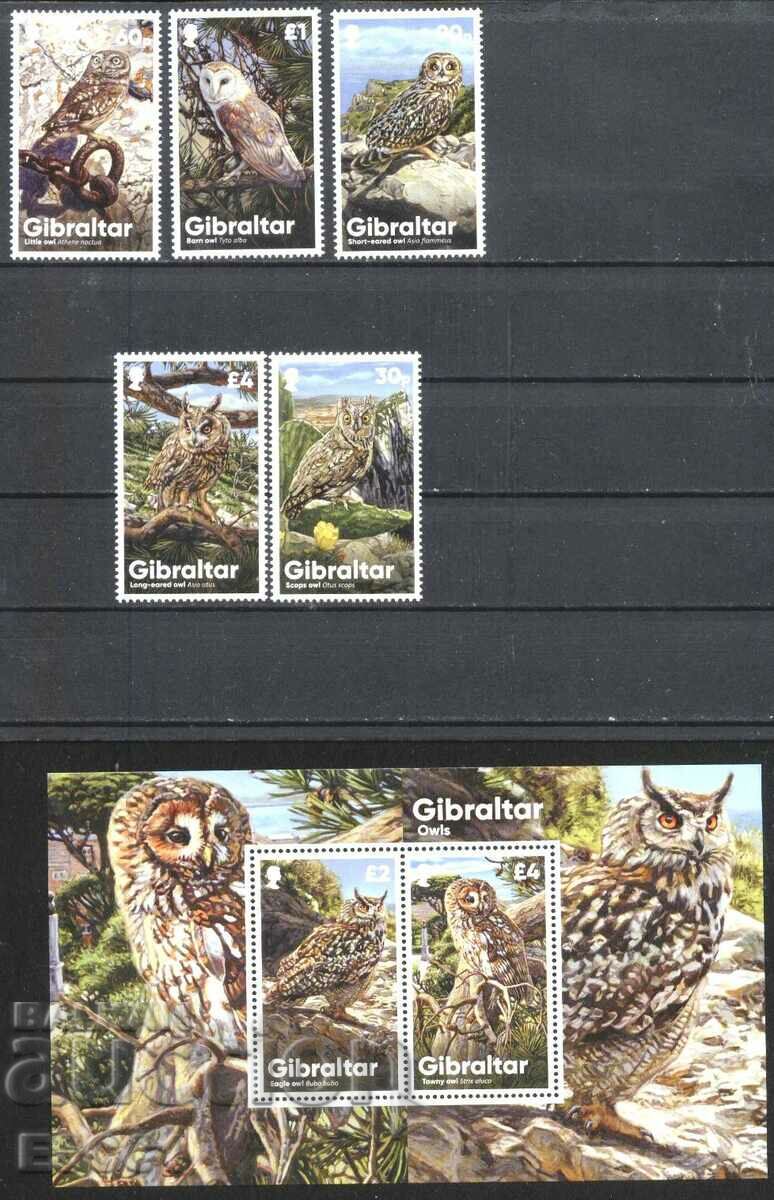 Чисти марки и блок Фауна Птици Сови 2020 от Гибралтар