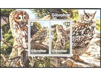Clean Block Fauna Birds Owls 2020 din Gibraltar