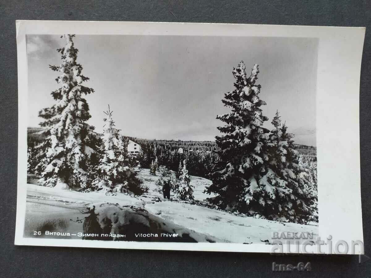 Vitosha Mountain